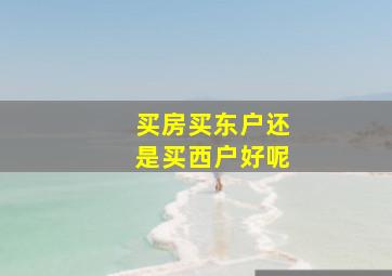 买房买东户还是买西户好呢