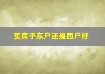 买房子东户还是西户好