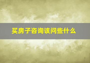 买房子咨询该问些什么