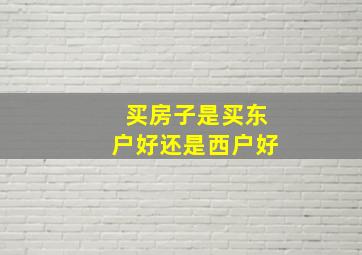 买房子是买东户好还是西户好