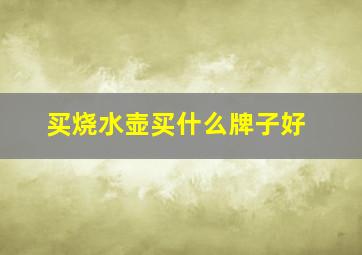 买烧水壶买什么牌子好