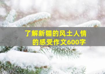 了解新疆的风土人情的感受作文600字