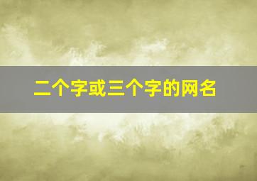 二个字或三个字的网名