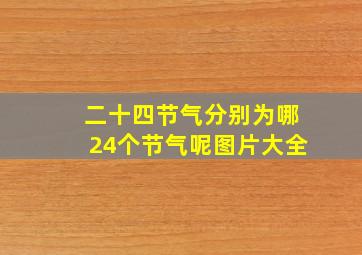 二十四节气分别为哪24个节气呢图片大全