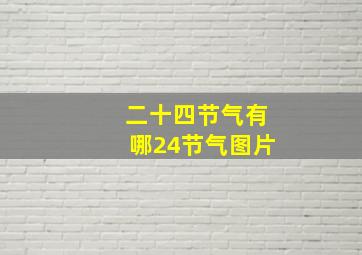 二十四节气有哪24节气图片