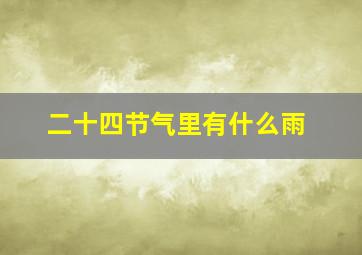 二十四节气里有什么雨