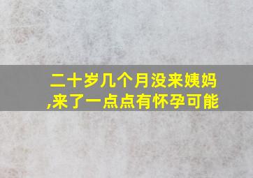 二十岁几个月没来姨妈,来了一点点有怀孕可能