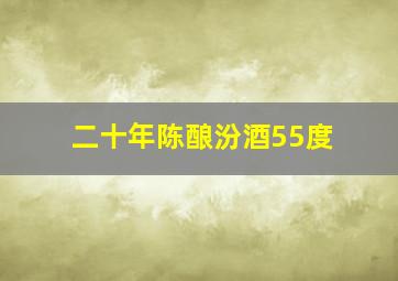 二十年陈酿汾酒55度