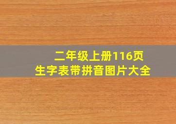 二年级上册116页生字表带拼音图片大全