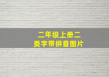 二年级上册二类字带拼音图片