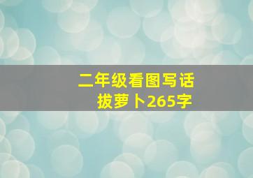 二年级看图写话拔萝卜265字