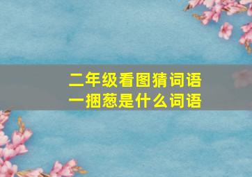 二年级看图猜词语一捆葱是什么词语