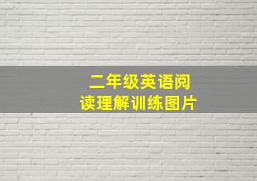 二年级英语阅读理解训练图片