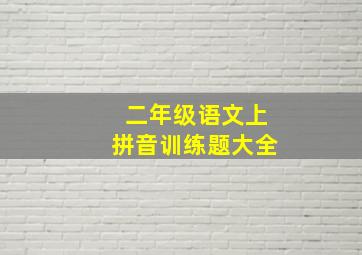 二年级语文上拼音训练题大全