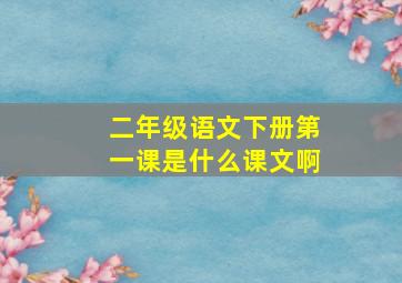 二年级语文下册第一课是什么课文啊