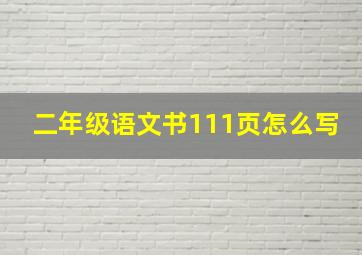 二年级语文书111页怎么写