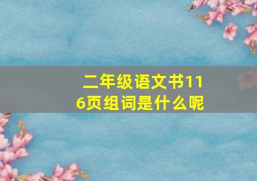 二年级语文书116页组词是什么呢