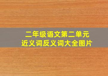 二年级语文第二单元近义词反义词大全图片