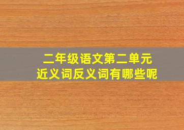 二年级语文第二单元近义词反义词有哪些呢