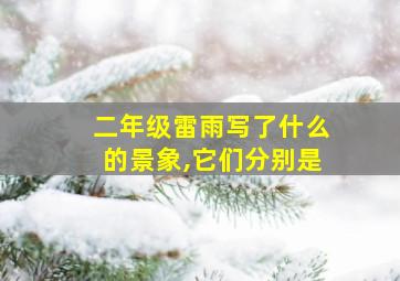 二年级雷雨写了什么的景象,它们分别是