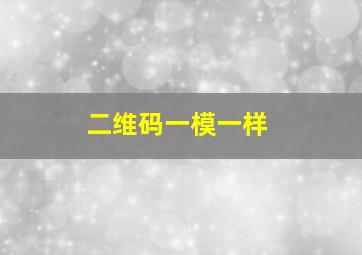 二维码一模一样