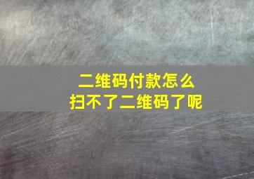 二维码付款怎么扫不了二维码了呢