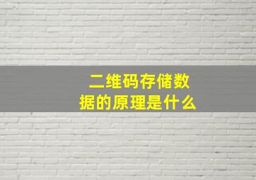 二维码存储数据的原理是什么