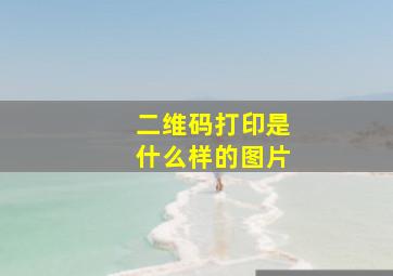 二维码打印是什么样的图片