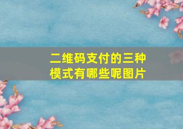 二维码支付的三种模式有哪些呢图片