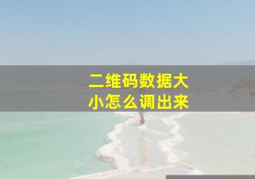 二维码数据大小怎么调出来