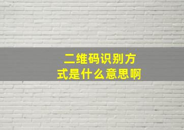 二维码识别方式是什么意思啊