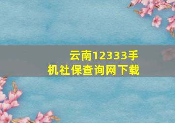 云南12333手机社保查询网下载