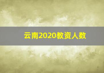 云南2020教资人数