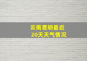 云南昆明最近20天天气情况