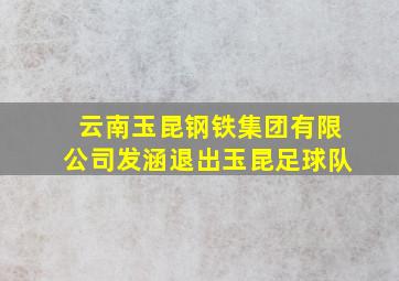 云南玉昆钢铁集团有限公司发涵退出玉昆足球队