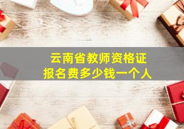 云南省教师资格证报名费多少钱一个人