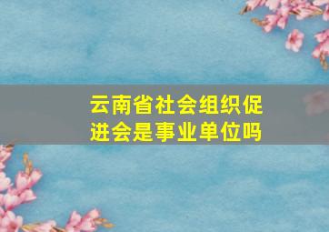 云南省社会组织促进会是事业单位吗