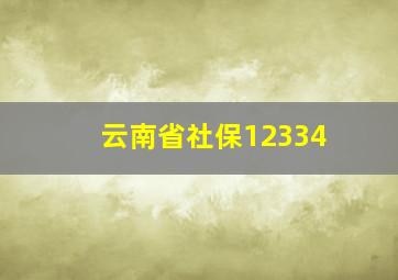 云南省社保12334