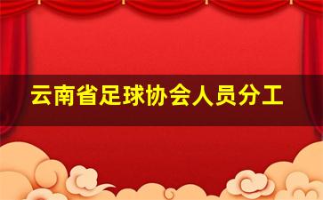 云南省足球协会人员分工