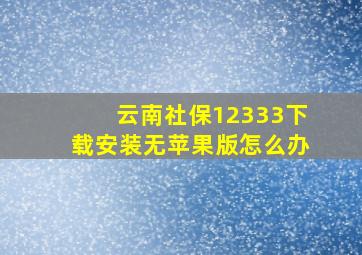 云南社保12333下载安装无苹果版怎么办