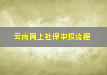 云南网上社保申报流程