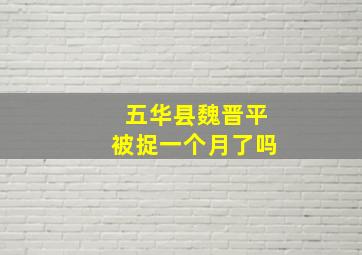 五华县魏晋平被捉一个月了吗