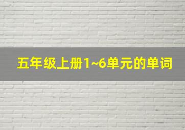 五年级上册1~6单元的单词