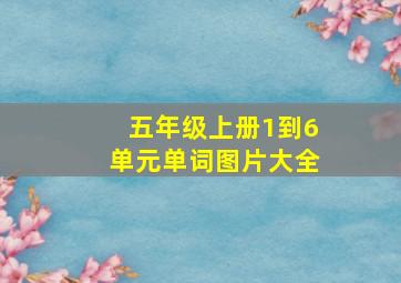 五年级上册1到6单元单词图片大全