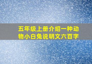 五年级上册介绍一种动物小白兔说明文六百字