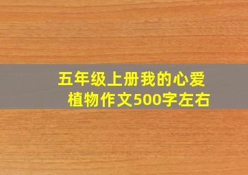 五年级上册我的心爱植物作文500字左右