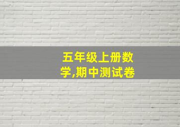 五年级上册数学,期中测试卷