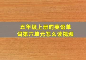 五年级上册的英语单词第六单元怎么读视频