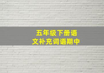 五年级下册语文补充词语期中