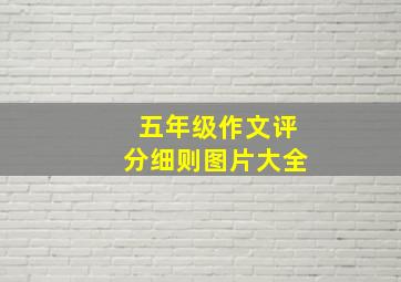 五年级作文评分细则图片大全